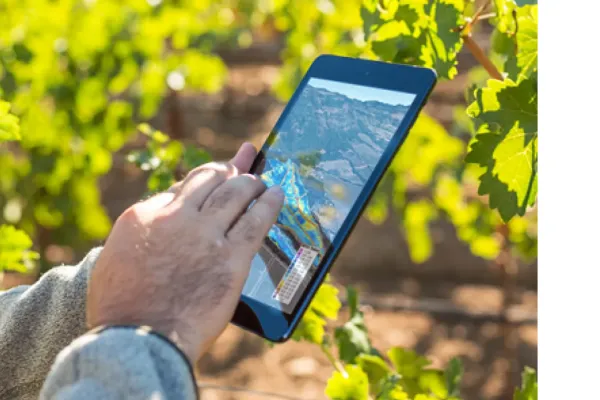 Das iPad und der Weinstock von morgen : ein Millesime wie früher, aber in der heutigen Zeit